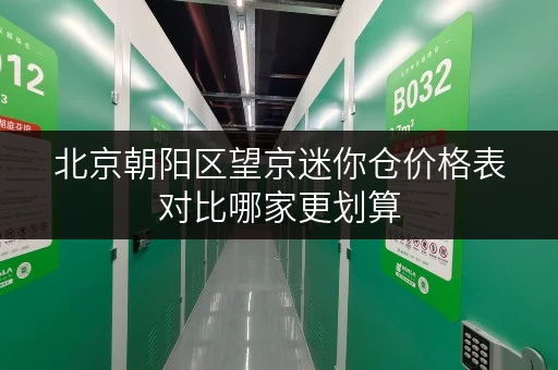 北京朝阳区望京迷你仓价格表对比哪家更划算