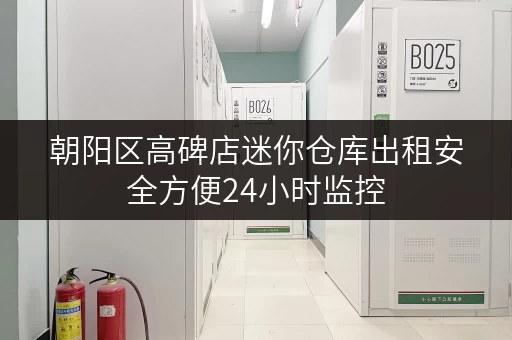 朝阳区高碑店迷你仓库出租安全方便24小时监控