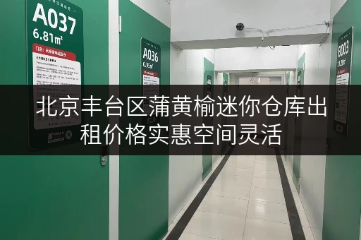 北京丰台区蒲黄榆迷你仓库出租价格实惠空间灵活