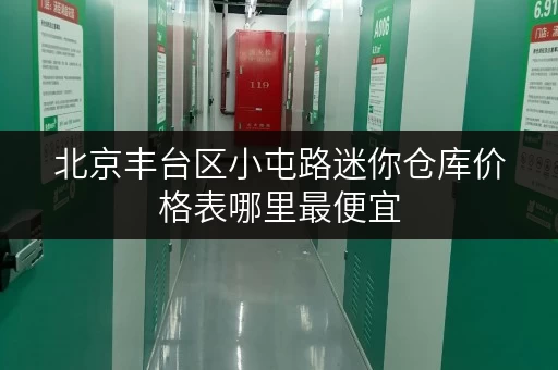 北京丰台区小屯路迷你仓库价格表哪里最便宜