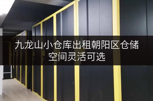 九龙山小仓库出租朝阳区仓储空间灵活可选