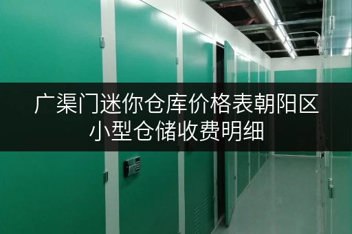 广渠门迷你仓库价格表朝阳区小型仓储收费明细