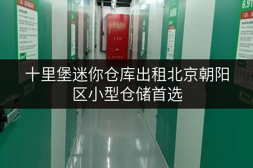 十里堡迷你仓库出租北京朝阳区小型仓储首选