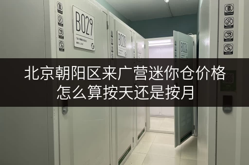 北京朝阳区来广营迷你仓价格怎么算按天还是按月