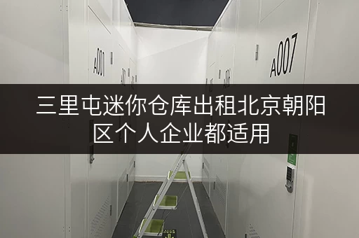 三里屯迷你仓库出租北京朝阳区个人企业都适用