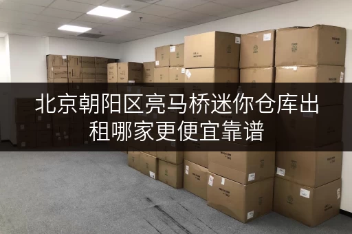 北京朝阳区亮马桥迷你仓库出租哪家更便宜靠谱