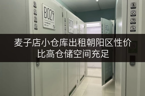 麦子店小仓库出租朝阳区性价比高仓储空间充足