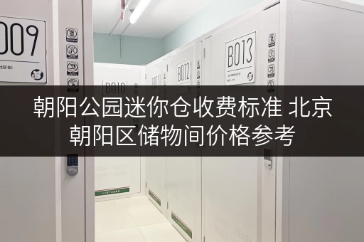 朝阳公园迷你仓收费标准 北京朝阳区储物间价格参考