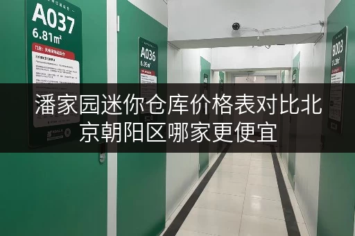 潘家园迷你仓库价格表对比北京朝阳区哪家更便宜