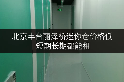北京丰台丽泽桥迷你仓价格低 短期长期都能租