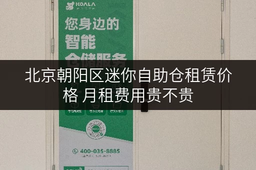 北京朝阳区迷你自助仓租赁价格 月租费用贵不贵