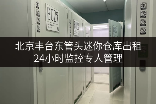 北京丰台东管头迷你仓库出租24小时监控专人管理 北京丰台东管头迷你仓库出租24小时监控专人管理