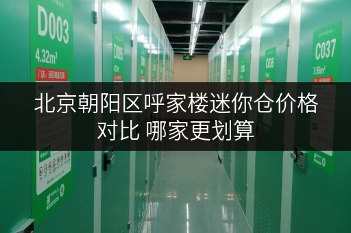 北京朝阳区呼家楼迷你仓价格对比 哪家更划算
