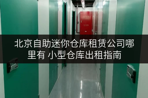 北京自助迷你仓库租赁公司哪里有 小型仓库出租指南