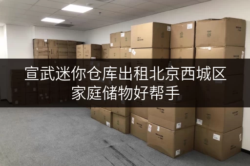 宣武迷你仓库出租北京西城区家庭储物好帮手