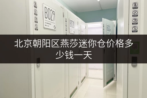 北京朝阳区燕莎迷你仓价格多少钱一天