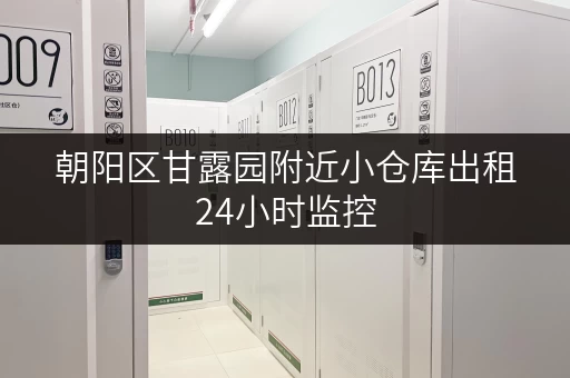 朝阳区甘露园附近小仓库出租24小时监控