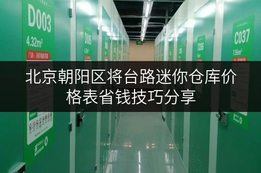 北京朝阳区将台路迷你仓库价格表省钱技巧分享