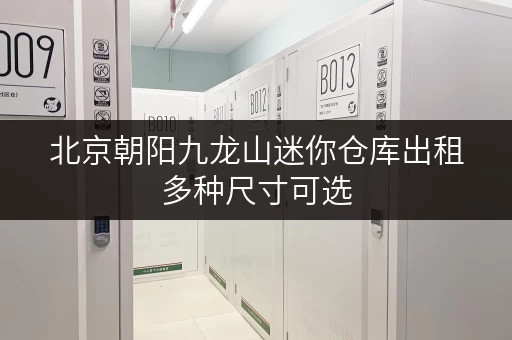 北京朝阳九龙山迷你仓库出租多种尺寸可选