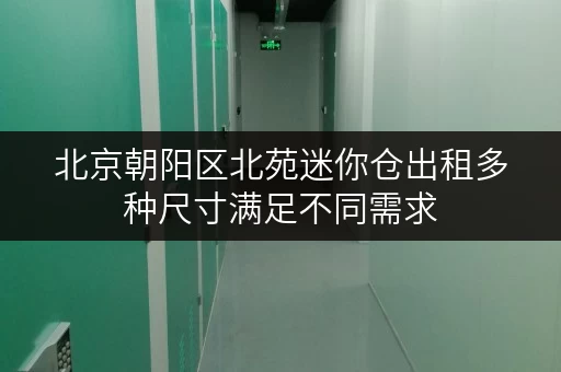 北京朝阳区北苑迷你仓出租多种尺寸满足不同需求 北京朝阳区北苑迷你仓出租多种尺寸满足不同需求