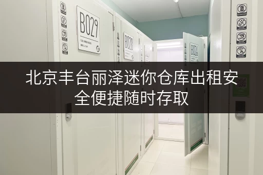 北京丰台丽泽迷你仓库出租安全便捷随时存取