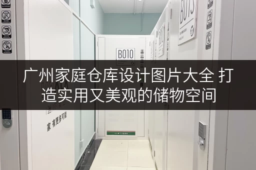 广州家庭仓库设计图片大全 打造实用又美观的储物空间