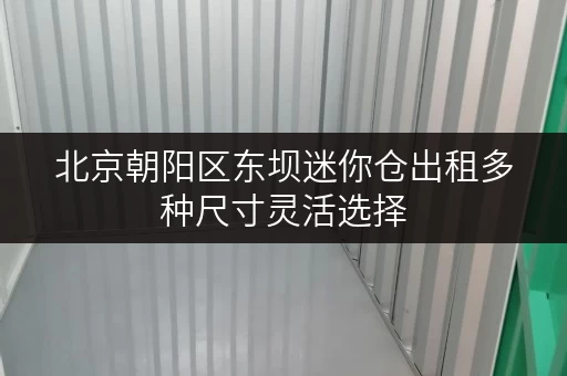 北京朝阳区东坝迷你仓出租多种尺寸灵活选择