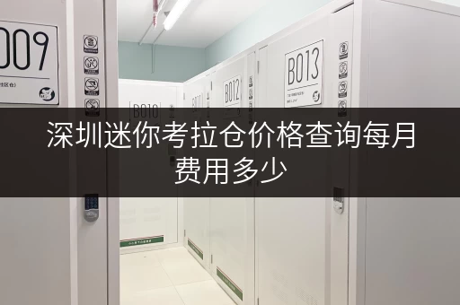 深圳迷你考拉仓价格查询每月费用多少