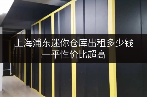 上海浦东迷你仓库出租多少钱一平性价比超高