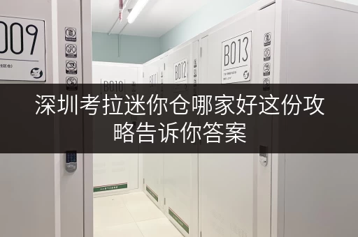 深圳考拉迷你仓哪家好这份攻略告诉你答案