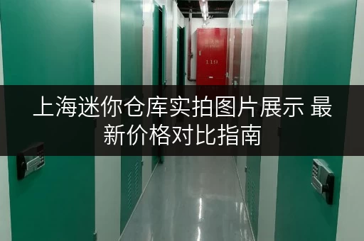 上海迷你仓库实拍图片展示 最新价格对比指南