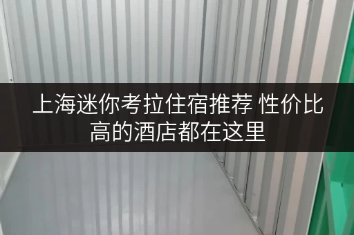 上海迷你考拉住宿推荐 性价比高的酒店都在这里