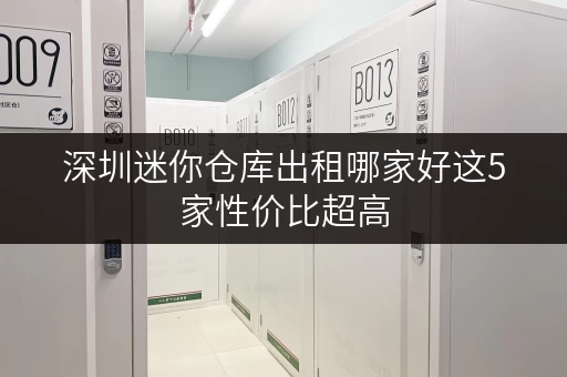 深圳迷你仓库出租哪家好这5家性价比超高 深圳迷你仓库出租哪家好这5家性价比超高