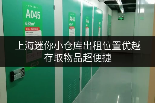 上海迷你小仓库出租位置优越存取物品超便捷