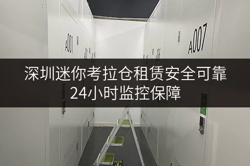 深圳迷你考拉仓租赁安全可靠24小时监控保障
