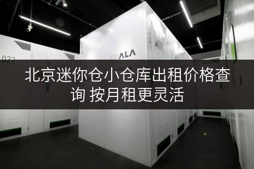 北京迷你仓小仓库出租价格查询 按月租更灵活