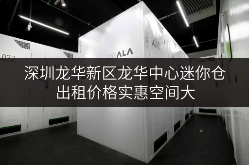 深圳龙华新区龙华中心迷你仓出租价格实惠空间大