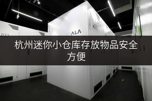 杭州迷你小仓库存放物品安全方便