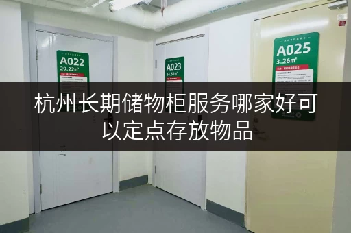杭州长期储物柜服务哪家好可以定点存放物品