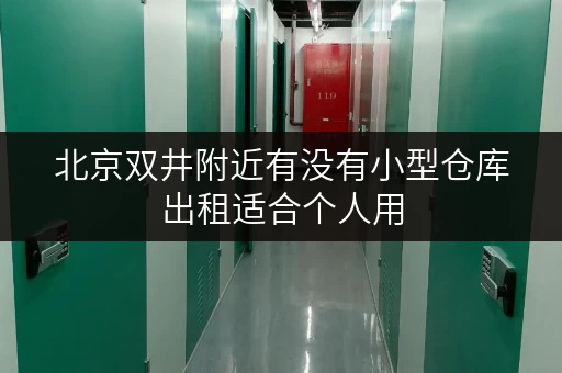 北京双井附近有没有小型仓库出租适合个人用