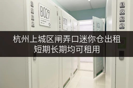 杭州上城区闸弄口迷你仓出租短期长期均可租用
