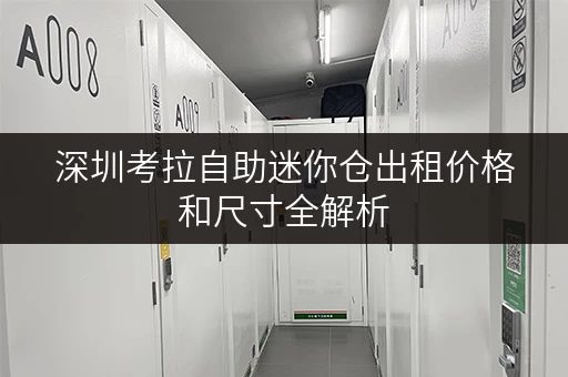 深圳考拉自助迷你仓出租价格和尺寸全解析