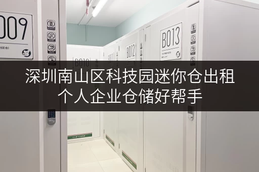 深圳南山区科技园迷你仓出租个人企业仓储好帮手