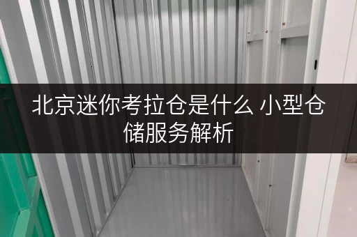 北京迷你考拉仓是什么 小型仓储服务解析