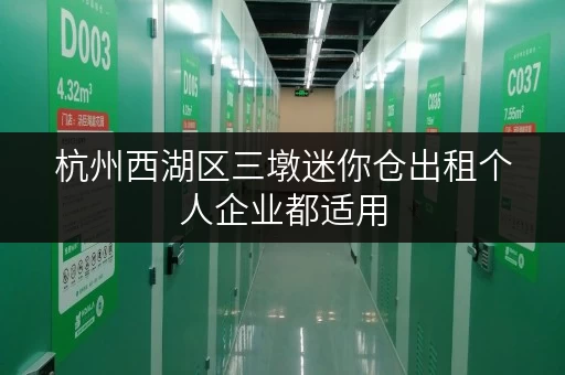 杭州西湖区三墩迷你仓出租个人企业都适用