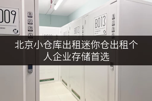 北京小仓库出租迷你仓出租个人企业存储首选