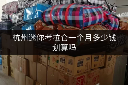 杭州迷你考拉仓一个月多少钱划算吗