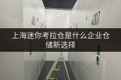 上海迷你考拉仓是什么企业仓储新选择
