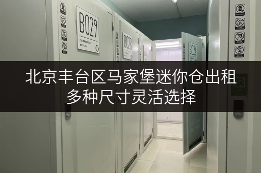 北京丰台区马家堡迷你仓出租多种尺寸灵活选择