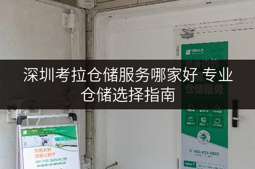 深圳考拉仓储服务哪家好 专业仓储选择指南